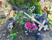 ��� �������� �������� �������� �������� ����������� ����?