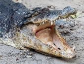 � ����� ��� ������ ������ ������ �������� ���������� 