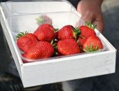 � ����� �������� ������� �� 2 ������ ������ �� ���������