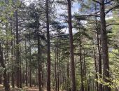 � ����� ��� �������������� ��������� 72% ������� �����