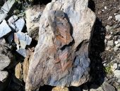 ��������� �������� �������� ���������� �� ����  � �����