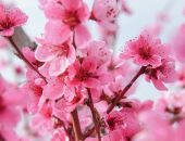 ������ ��������� �����: � ���������� ���� �������� ������ � �������