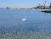 ����� ���������