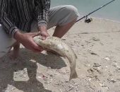 ����� ������: �� ���������� ������� � ����� ������� �������� ���� ���������