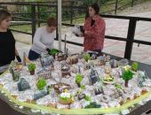 ���������� ����� ��������� 3,5 ����� ������� � ����� �� ����� 