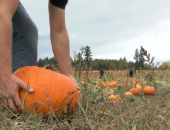 ��������� ������:  ��� �������� ������� � ������� �� ����� 39 �� ������