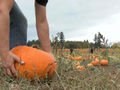 ��������� ������:  ��� �������� ������� � ������� �� ����� 39 �� ������