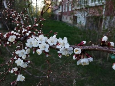 � ����� �������� ������� ���� �� ���������� �� ���������� 