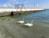 ���� ������� ������ ��������� � ��������