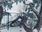 ������ ��������: ����� ��-����� � ����� ������ ����