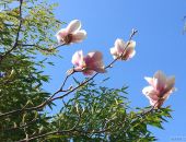 �������� ��������: �������� �����