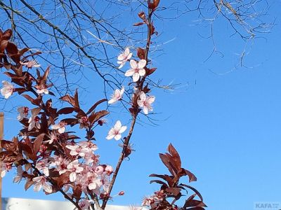 �������� ��������: �������� �����