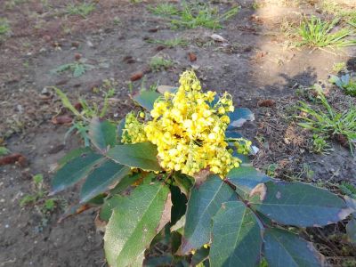 �������� ��������: �������� �����