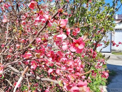 �������� ��������: �������� �����