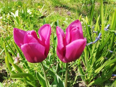 �������� ��������: �������� �����