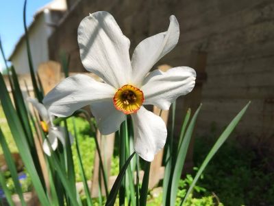 �������� ��������: �������� �����
