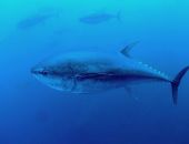 ������ ���� ����� ��������� � 400-������������� ����� � ���������� ������