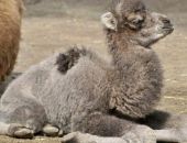 �� ����� � ����������� ������� ������� �����������  