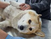 � ������ ���� �����������  ���������  � ����������� ������ ����� ������ �������� ��������