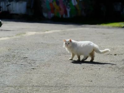 � ����� ������ ����� ��� ����� ��  ����� � ������ 