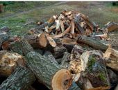 ��� �� �������� ��������� ���� �� ���� ���� � ����� �����?