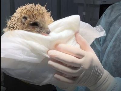 � ����� ���������� ������ ����� �������� ������������ ����� 