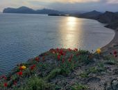 ��� ���������� ������� ����� �����