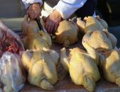  �� ������ ����������� ������ ����� 500 ����������� �������������� ���������