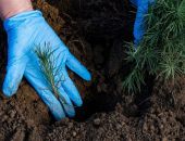 ��� ��������������� ���� � �����