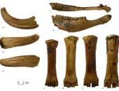 ������ ������� ����� ��� ������� �� �������� �� ������ �������