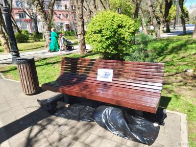 � �������� ������������ ���������