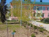 � ����� ������� ������ �������� ����