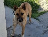 � ���� ��������� ������, ������� ����� ������� 