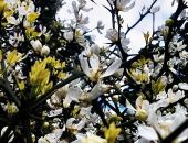 � ����� ������ ���������� ����������� ������