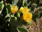 ����� �������� ��������� ���������� �� ����� �������� ���������