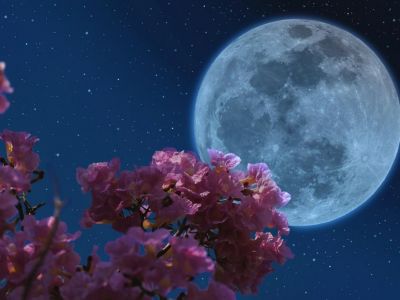 � ��� �������� ������ ������� ��� ����������