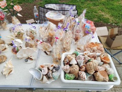 � �������� �������� ������� �������������