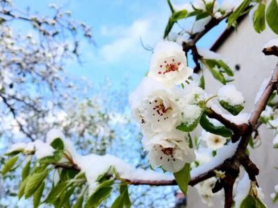� ����� ������� ������� ������, �������� �� ���������