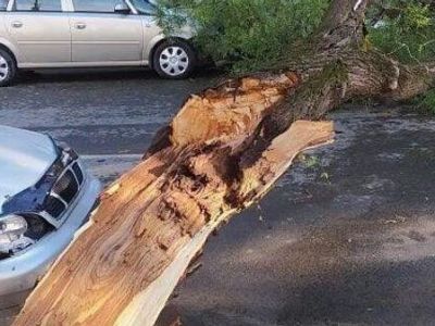 ������ ���������� ���� - ��� ���������� � �������