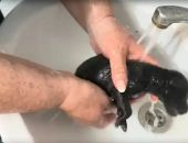  � �������� ������� ������������� ������, ������� ���� �� �������� ����