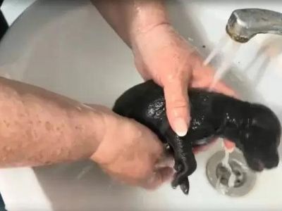  � �������� ������� ������������� ������, ������� ���� �� �������� ����
