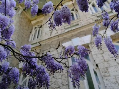 � ���� ����� �������� ��������