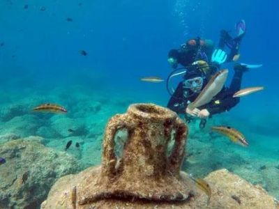 � ����� ����� ������� ��������� ���������� � ��������� ����� ����
