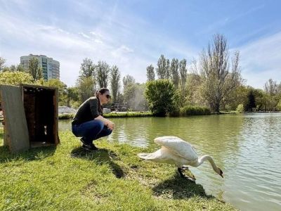 � ����� ������ �� ������ ������, �������� ���������� ����� ����������� ������