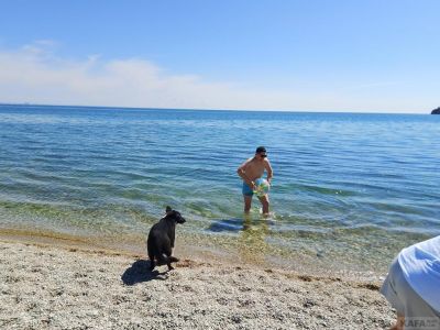 ��������: ��� ������ �� ����...