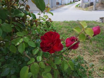 ��������: ��� ������ �� ����...