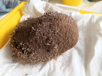 � ����������� �������� �������������� ������ ���