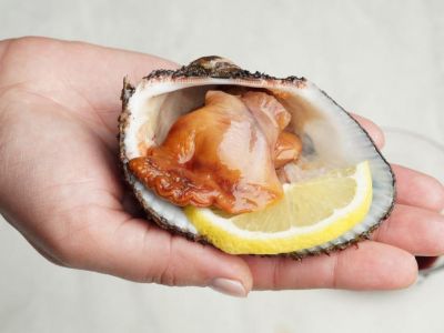 � ����� ������ ��������� � ������������ ��������� ��������� �������