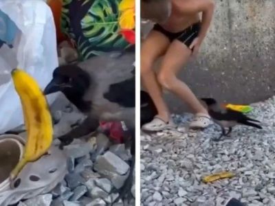 ������ ���� �������� �� ������-�������