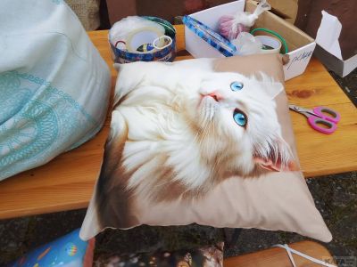 � �������� ���������� ������� �������� ��������